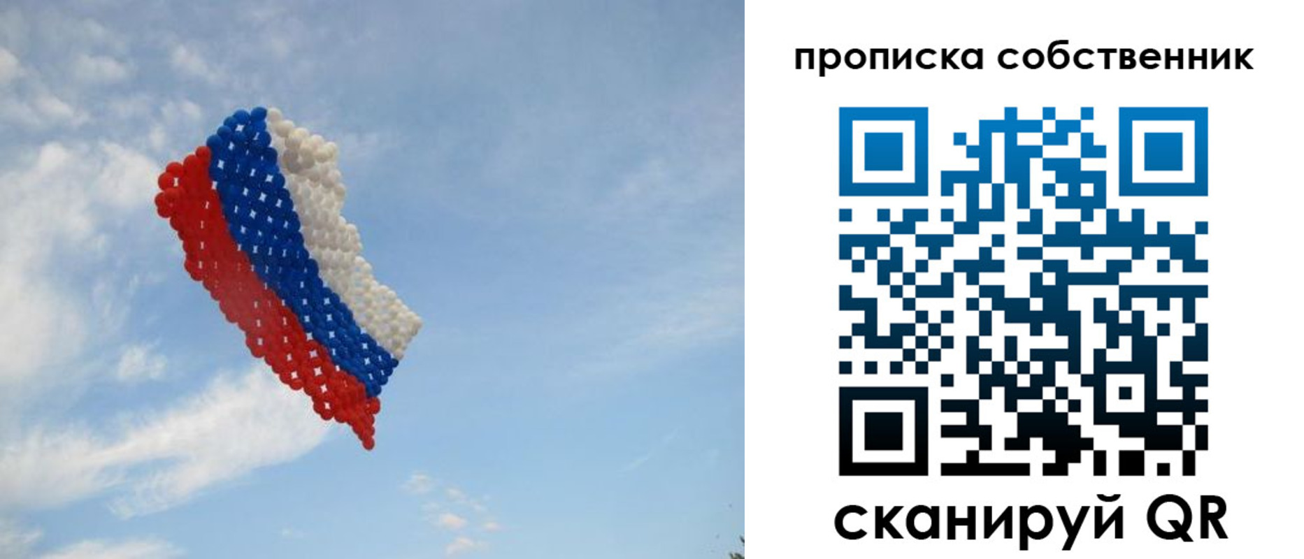временная регистрация поиск в Коле